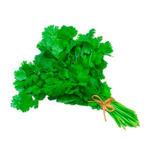 Cilantro 300g