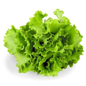 Lechuga Criolla 1Kg