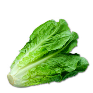 Lechuga Romana 1 unidad